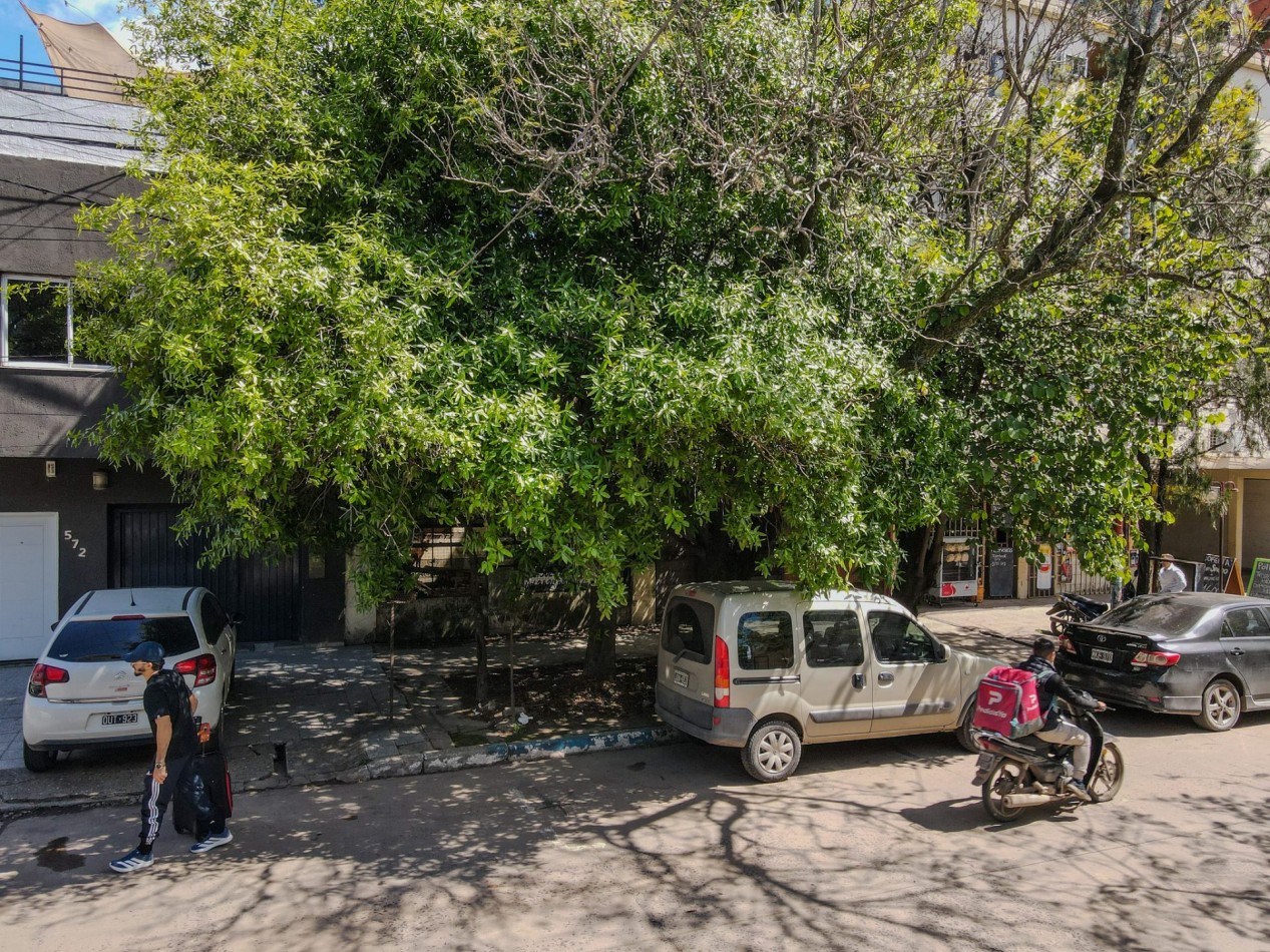 Terreno 11x40 (440 m²) en zona UNNE, apto edificio de hasta 6 plantas